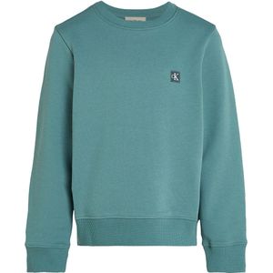 Calvin Klein Sweatshirt - Mono Mini Badge - North Atlantische Oc - Calvin Klein - 14 jaar (164) - Sweatshirt