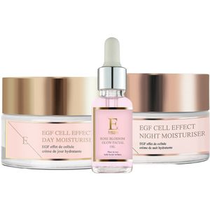 ErthSkin London EGF Dag Moisturizer + Nacht Moisturier Rozenbloesem Gezichtsolie 30