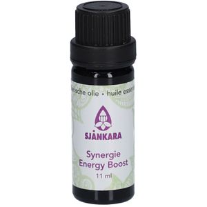 Sjankara Energy Boost Synergie 11 Massage-olie