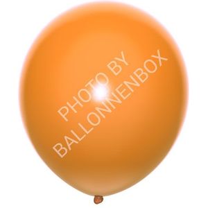 Bruine Ballonnen 30cm 10 stuks