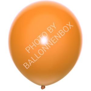 Bruine Ballonnen 30cm 100 stuks