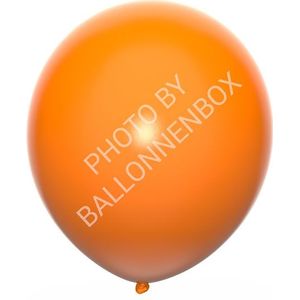 Oranje Ballonnen 30cm 10 stuks