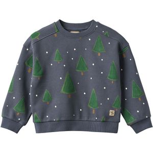 Wheat Sweatshirt - Sandro - Greyblue Holiday - Wheat - 3 jaar (98) - Sweatshirt