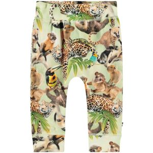 Molo Broek - Sammy - Jungle Welpen - Molo - 62 - Broeken - Katoen