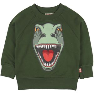 DYR-Cph Sweatshirt - DIEREN hieronder - Groen m. Dinosaurus - DYR - 2 jaar (92) - Sweatshirt