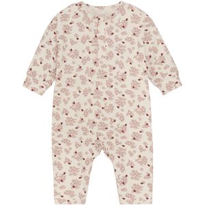 Fixoni Boxpak - Advocaat - Fixoni - 50 - Boxpak