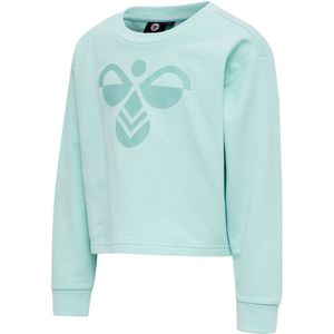 Hummel Sweatshirt - Bijgesneden - hmlCinco - Turquoise - Hummel - 6 jaar (116) - Sweatshirt
