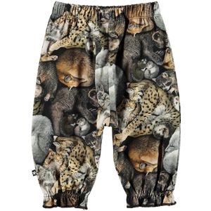 Molo Broek - Selena - Slaapstand - Molo - 56 - Broeken - Katoen