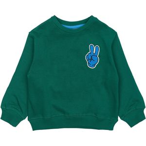 The New - Siblings - Jongens Sweater - Groen
