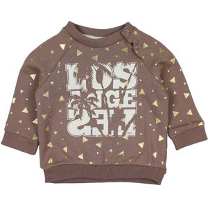 Petit by Sofie Schnoor Sweatshirt - Dusty Paars m. Goud - Sofie Schnoor - 56 - Sweatshirt