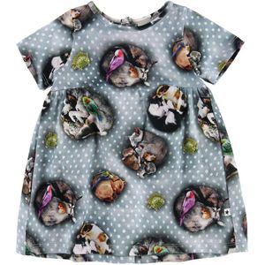 Molo Jurk - Calypso - Huisdieren Dots - Molo - 56 - Jurk