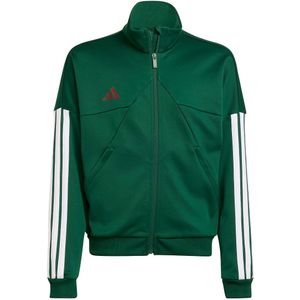 adidas - J HOT TTOP - Outdoorjack - Dark Green / Core White / Team Colleg Burgundy / Collegiate Burgundy