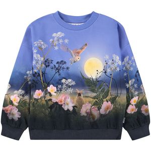 Molo Sweatshirt - Maxi - Magische maanopkomst - Molo - 5 jaar (110) - Sweatshirt