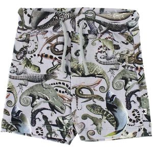 Molo Shorts - Simroy - Entangled - Molo - 56 - Shorts