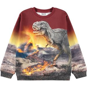 Molo Blouse - Mix - Dino Landschap - Molo - 4 jaar (104) - Shirts