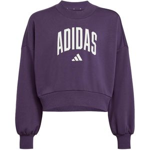 adidas - CLGT FT SWT - Sweatshirt - Aurora Plum - Sportief