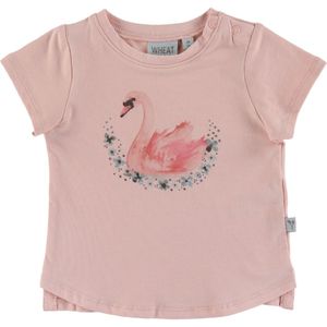 Wheat T-Shirt - Swan - Powder - Wheat - 62 - T-Shirts