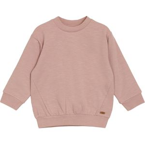 Hust and Claire Sweatshirt - Sophie - Roze - Hust and Claire - 1 jaar (80) - Sweatshirt