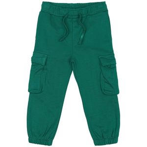 The New Siblings Joggingbroek - TnstLegend - Alpine Green - The New - 1½ jaar (86) - Joggingbroek