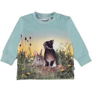 Molo Blouse - Eloy - Rabbit Life - Molo - 74 - Shirts