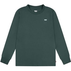 Levis Blouse - Bistro Green - Levis - 5 jaar (110) - Shirts
