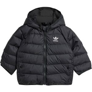 adidas Originals Donsjas - Zwart - adidas Originals - 1½ jaar (86) - Donsjassen