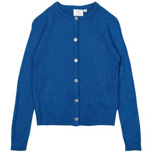 The New Cardigan - Gebreid - TnEve - Daphne/Glitter - The New - 3-4 jaar (98-104) - Cardigan