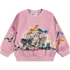 Molo Sweatshirt - Schijf - Lint Play - Molo - 1 jaar (80) - Sweatshirt