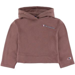 Champion Hoodie - Bijgesneden - Bruin - Champion - 13-14 jaar (158-164) - Hoodie