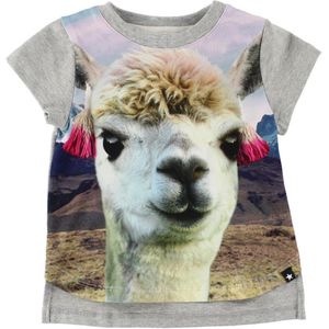 Molo T-Shirt - Erin - Lama - Molo - 56 - T-Shirts