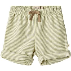 Wheat Shorts - Milton - Green Stripe - Wheat - 74 - Shorts