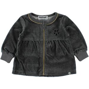 Papa Velours Cardigan - Grijs m. Goud - Papfar - 62 - Cardigan