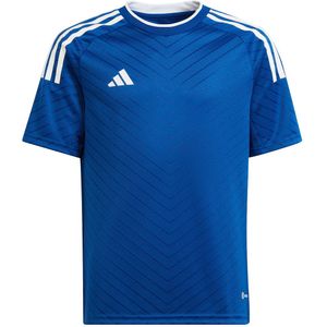 adidas Performance T-Shirt - Royblu - adidas Performance - 16 jaar (176) - T-Shirts