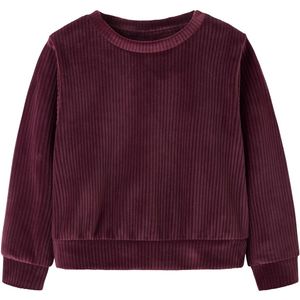 Velours Hoodie - Fluweel - Top - Lange Mouwen - Regular Fit