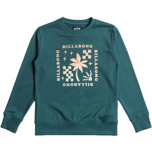 Billabong - Effen Fleece T-shirt - Ronde Hals - Lange Mouwen - Gerecycled Polyester