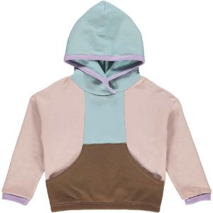 Freds World Hoodie - Rose Hout - Freds World - 5 jaar (110) - Hoodie