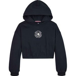 Tommy Hilfiger Hoodie - Viscose - Kam Logo - Desert Wolk - Tommy Hilfiger - 3 jaar (98) - Hoodie