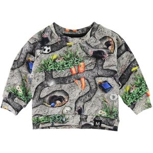 Molo Sweatshirt - Dag - Moles - Molo - 68 - Sweatshirt