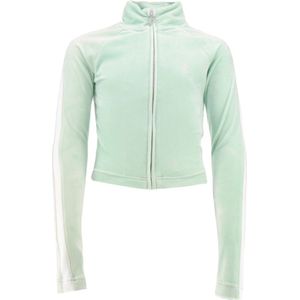 Juicy Couture Cardigan - Fluweel - Grijs Jade - Juicy Couture - XXS - Xtra Xtra Small - Cardigan