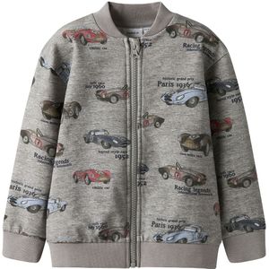 Sweatvest - Regular Fit - Geborstelde Sweatstof - Lange Mouwen - Ronde Hals - All-over Print