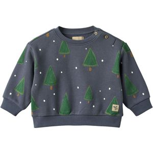 Wheat Sweatshirt - Sandro - Greyblue Holiday - Wheat - 1½ jaar (86) - Sweatshirt