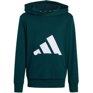 adidas - Sportswear Hoodie J BL FT HD 280 - Aurora Ivy / White - Sweater