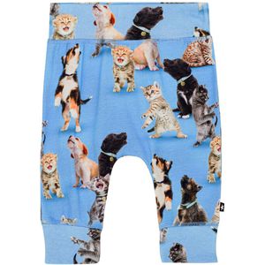 Molo Broek - Sammy - Joy van Music - Molo - 62 - Broeken - Katoen