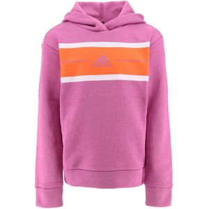 adidas Performance Hoodie - G ES BL Warm HD - adidas Performance - 15 jaar (170) - Hoodie