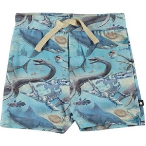 Molo Shorts - Simroy - Oude Ocean - Molo - 74 - Shorts