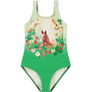Molo Zwempak - UV50+ - Nika - Beauty - Molo - 6 jaar (116) - Badmode