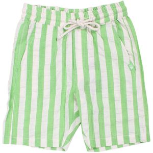 Danefæ Shorts - Danegorm - Searsucker - Helder Green/Krijt - Danefæ - 2 jaar (92) - Shorts