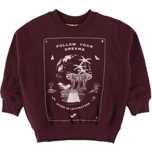 Soft Gallery Sweatshirt - Baptiste - Decadente Chocolate - Soft Gallery - 5 jaar (110) - Sweatshirt