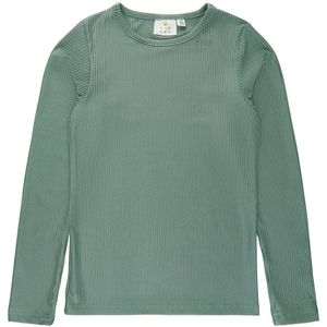 The New Blouse - Rib - TnIrina - Arctic - The New - 5-6 jaar (110-116) - Shirts