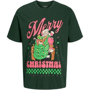 Jack & Jones T-Shirt - JorHoliday Cartoon - Sycamore - Jack & Jones - 14 jaar (164) - T-Shirts